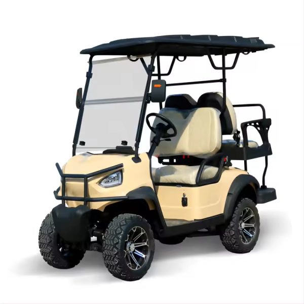 2 Seater Electric Golf Car Ce Approved 2 Seat Battery Powered Lithium Batteries Golfkar Electric