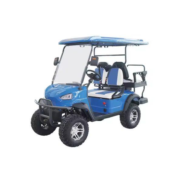 2 Seater Electric Golf Car Ce Approved 2 Seat Battery Powered Lithium Batteries Golfkar Electric G (1)