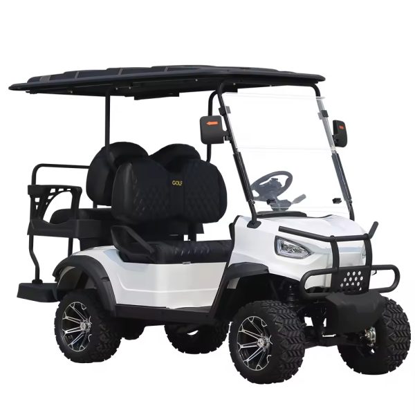 2 Seater Electric Golf Car Ce Approved 2 Seat Battery Powered Lithium Batteries Golfkar Electric Golf Buggy (11)