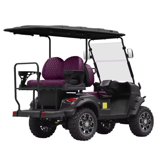 2 Seater Electric Golf Car Ce Approved 2 Seat Battery Powered Lithium Batteries Golfkar Electric Golf Buggy (12)