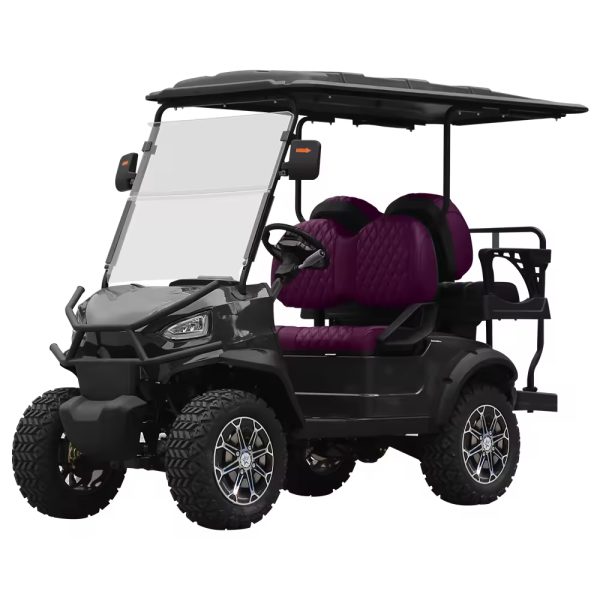 2 Seater Electric Golf Car Ce Approved 2 Seat Battery Powered Lithium Batteries Golfkar Electric Golf Buggy (13)