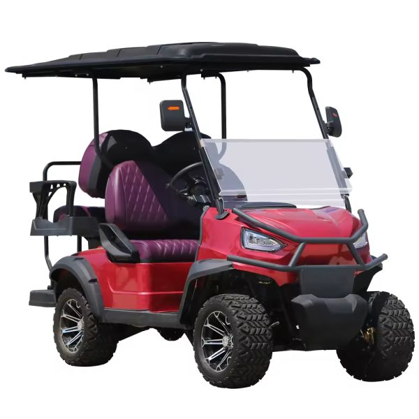 2 Seater Electric Golf Car Ce Approved 2 Seat Battery Powered Lithium Batteries Golfkar Electric Golf Buggy (14)