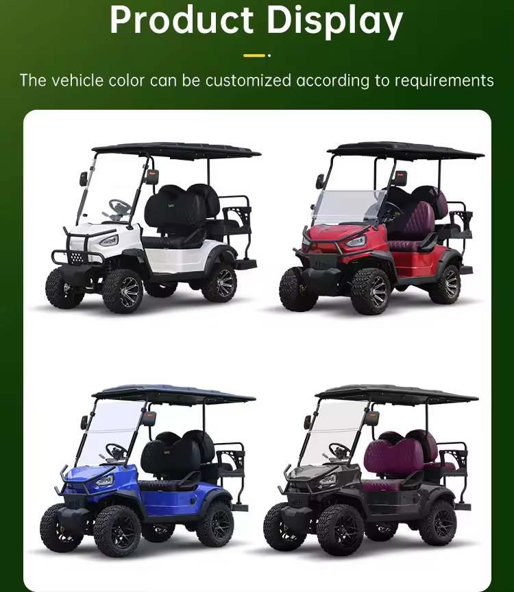 2 Seater Electric Golf Car Ce Approved 2 Seat Battery Powered Lithium Batteries Golfkar Electric Golf Buggy (3)