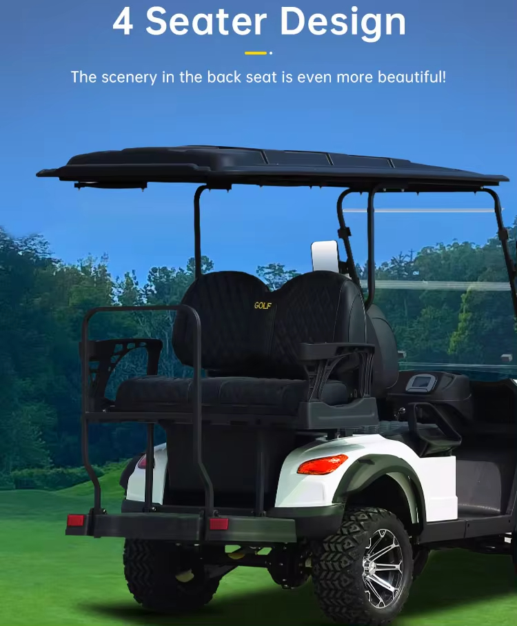 2 Seater Electric Golf Car Ce Approved 2 Seat Battery Powered Lithium Batteries Golfkar Electric Golf Buggy (7)