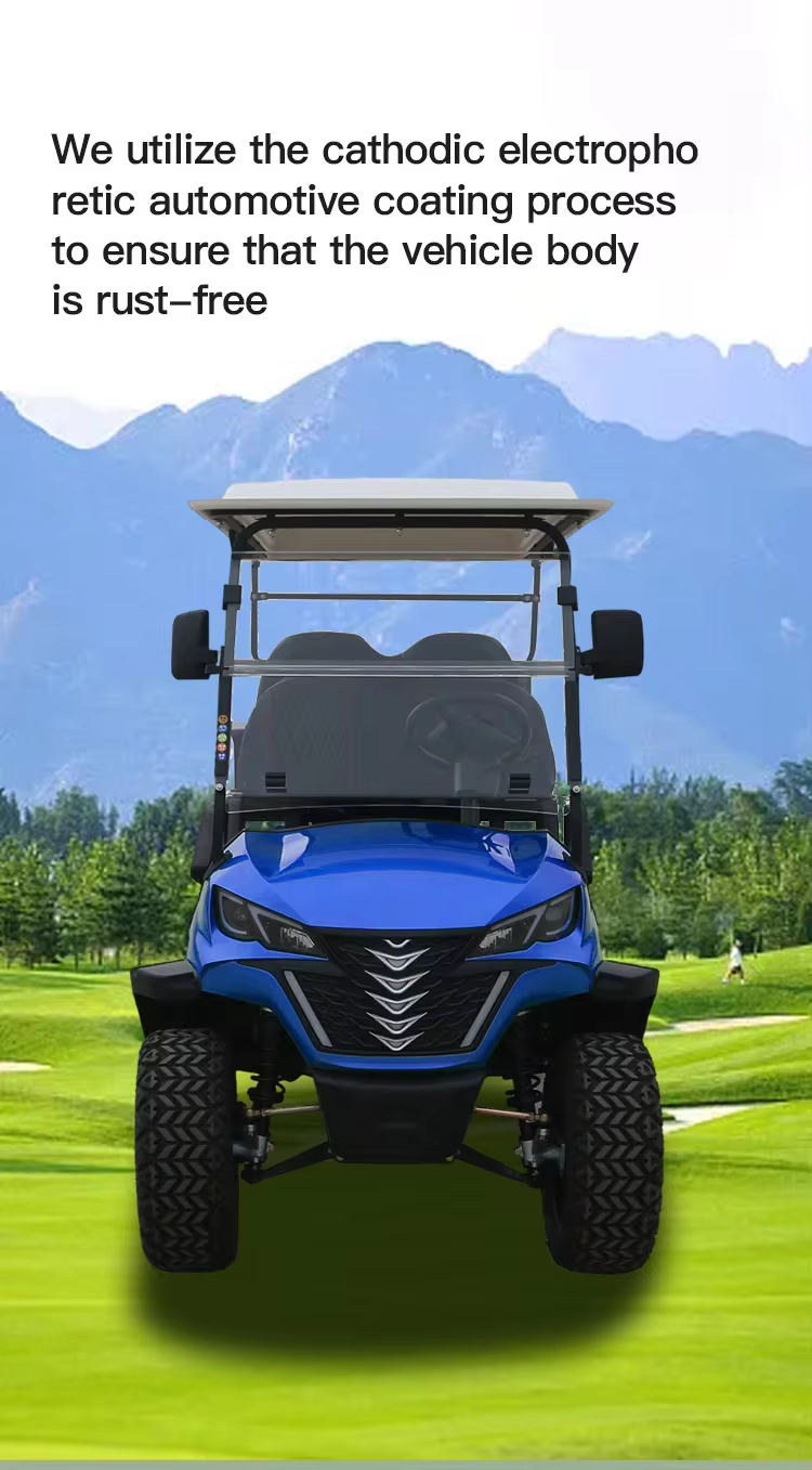 Professional Design Adequate Stock Golf Cart Battery Electric Hunting 4+2 Seats Forge H4+2 Prices Electr (5)