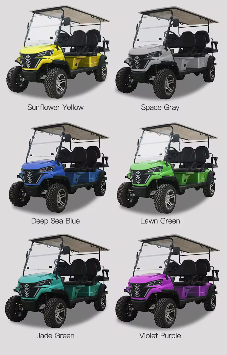 Professional Design Adequate Stock Golf Cart Battery Electric Hunting 4+2 Seats Forge H4+2 Prices Electr (9)